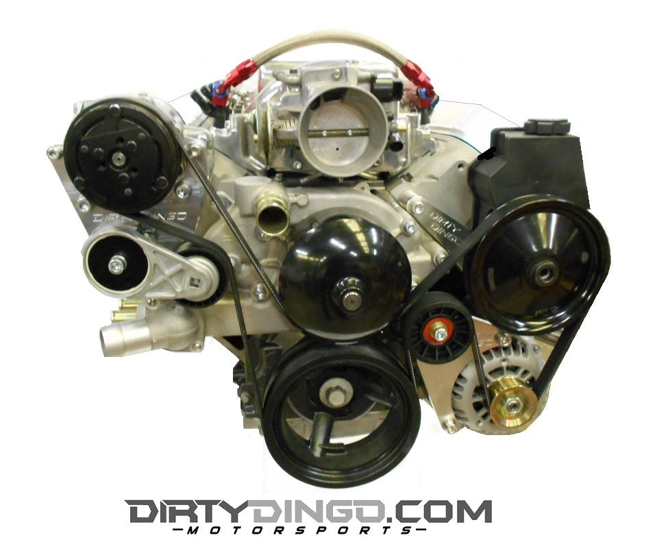 Dirty Dingo LS Camaro-Style Close Fit PS + Low Mount Alt + Street Rod A/C Combo
