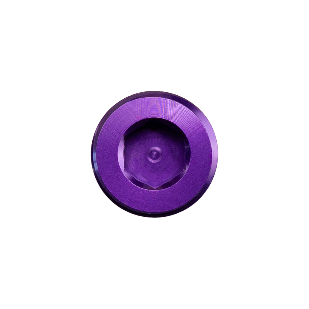 1/2in NPT Hex Plug Purple
