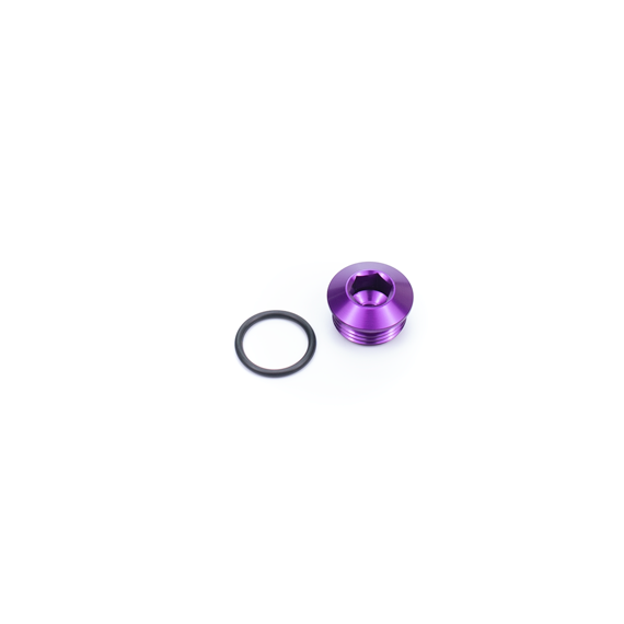 M16x1.5mm Plug w/ Washer