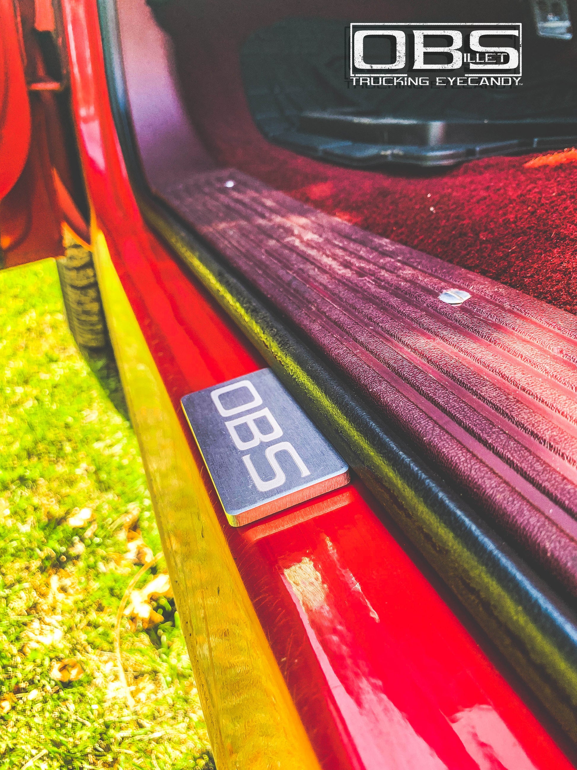 Door Tread Plates - Sold as a Pair