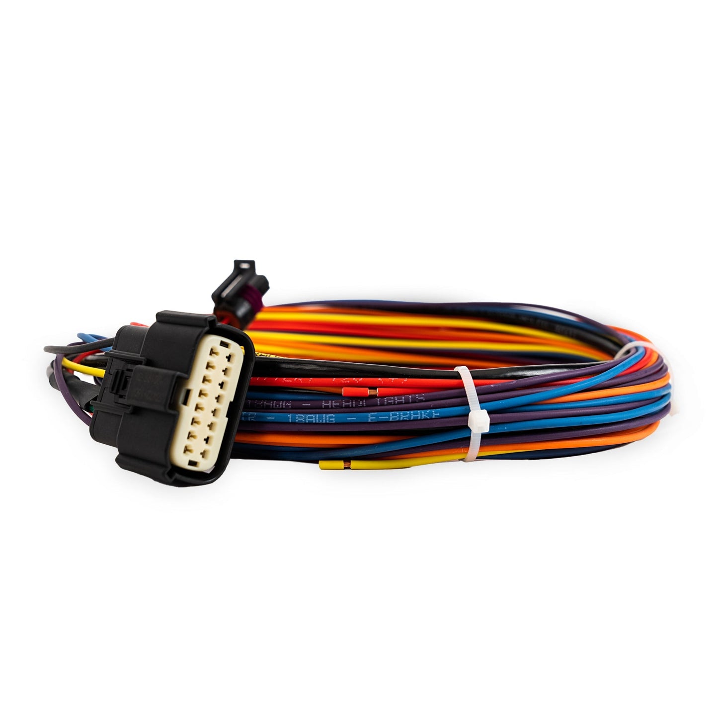 AccuAir e-Level Main Harness detail