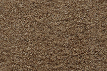 9205 Cognac Cutpile color swatch