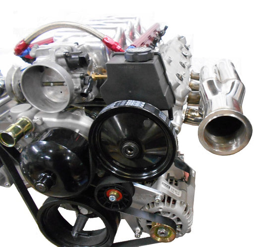 Dirty Dingo LS Low Mount Close Fit Alternator + Power Steering Combo Kit
