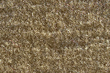 1004A Cream Essex color swatch